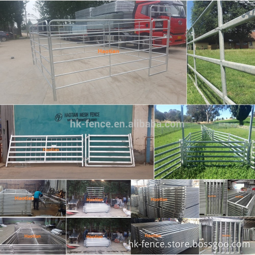 Galvanized welded pipe livestock cattle used corral fence panels for horse,durable 6 or 5 bar steel temporary metal corral fence